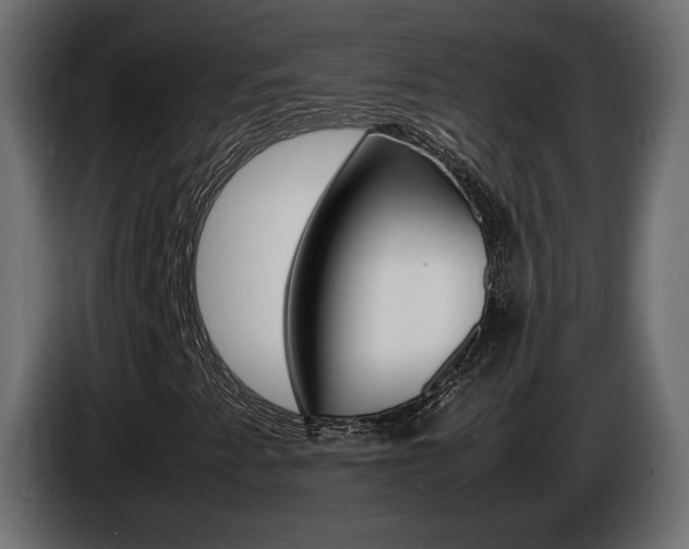 X0000086911345200704161000
