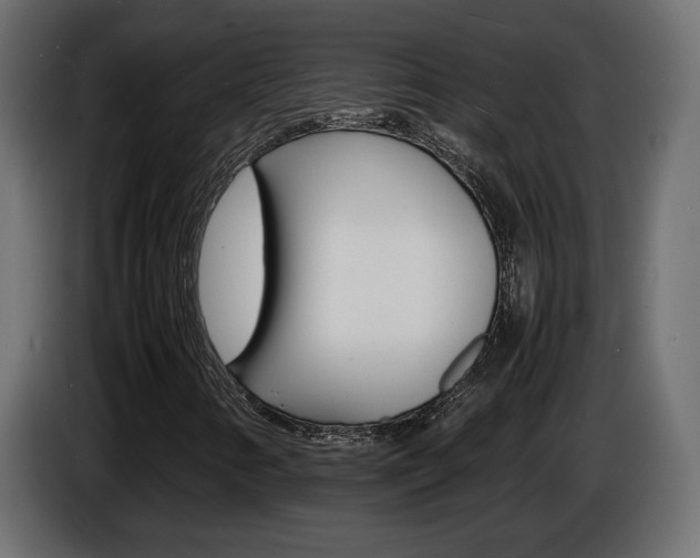 X0000086911346200704161000