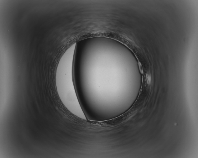 X0000086911348200704161000