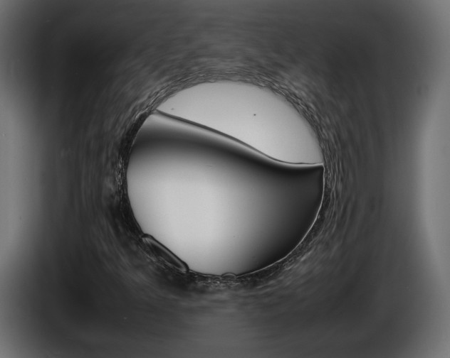 X0000086911349200704161000