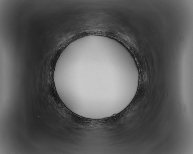 X0000086911350200704161000