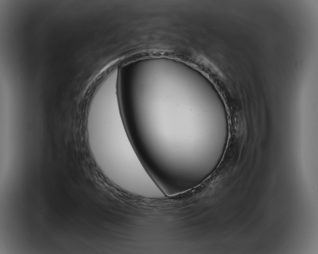 X0000086911352200704161000