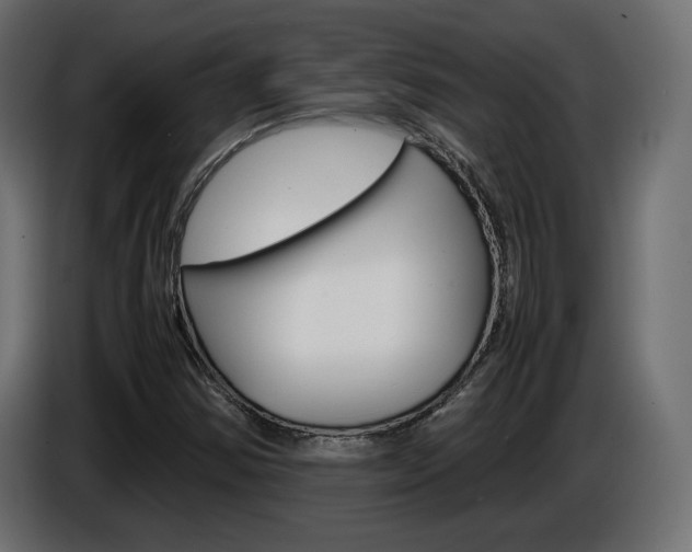 X0000086911354200704161000