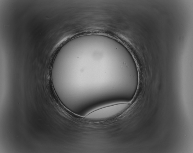 X0000086911355200704161000
