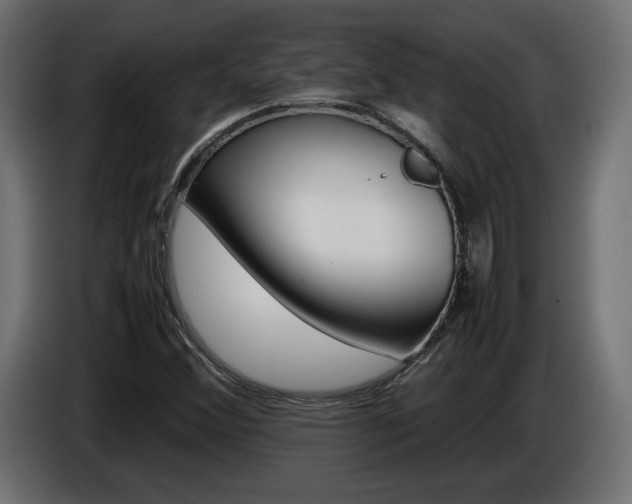 X0000086911356200704161000