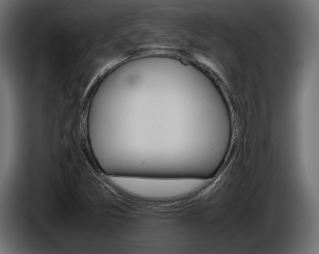 X0000086911357200704161000