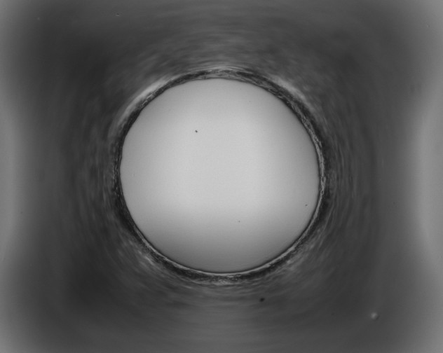 X0000086911359200704161000