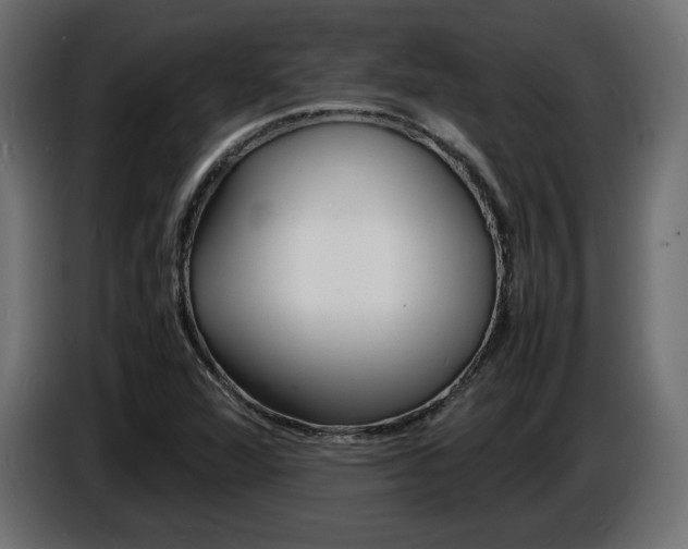 X0000086911360200704161000