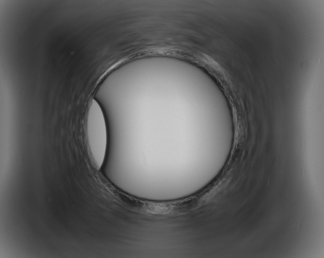 X0000086911361200704161000