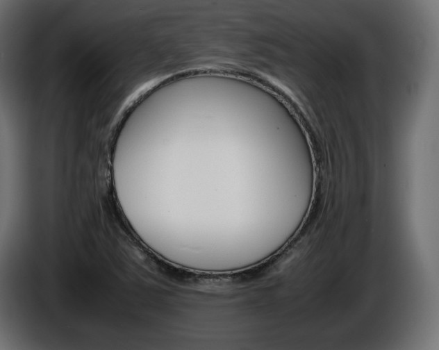 X0000086911363200704161000