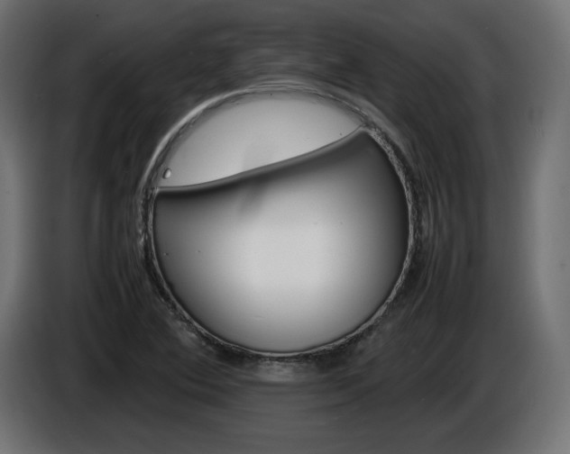 X0000086911364200704161000