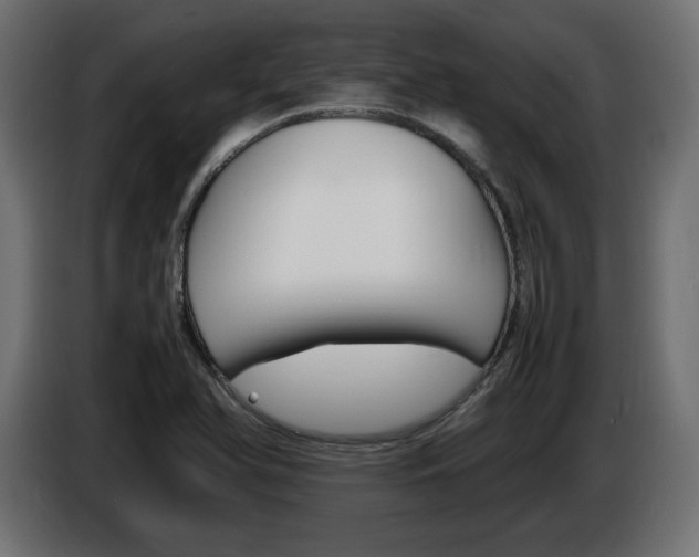 X0000086911366200704161000