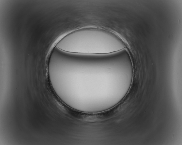 X0000086911367200704161000