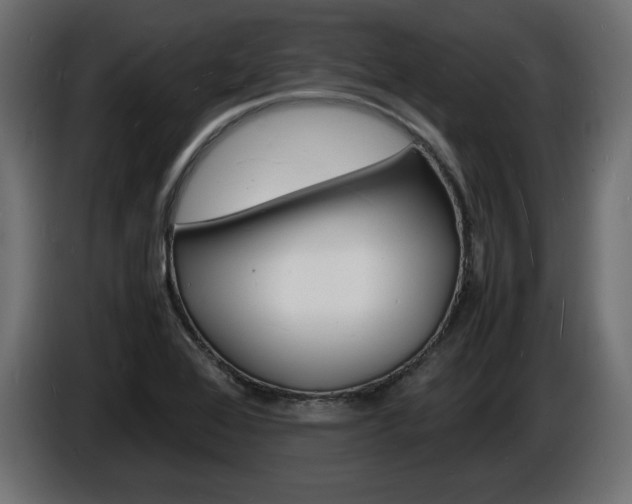 X0000086911368200704161000