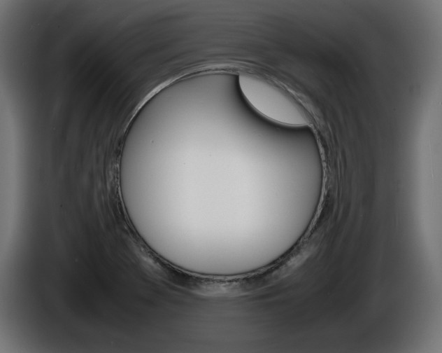 X0000086911369200704161000