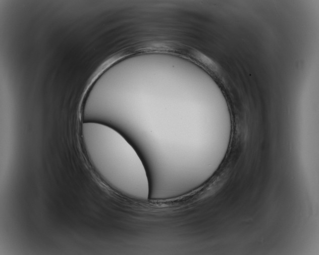 X0000086911370200704161000