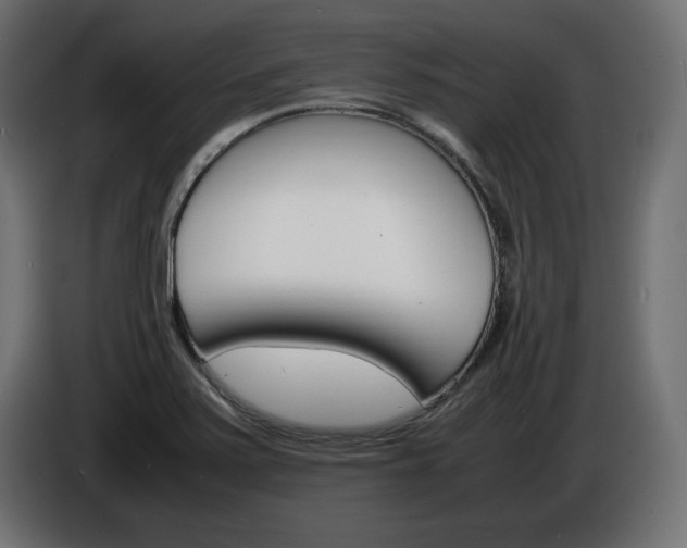 X0000086911371200704161000