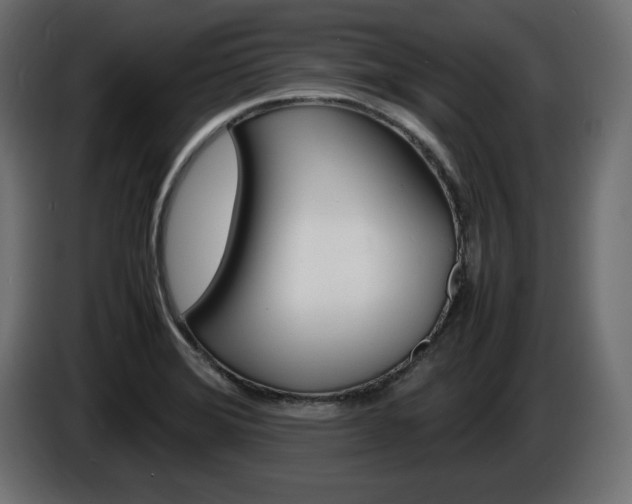 X0000086911372200704160959
