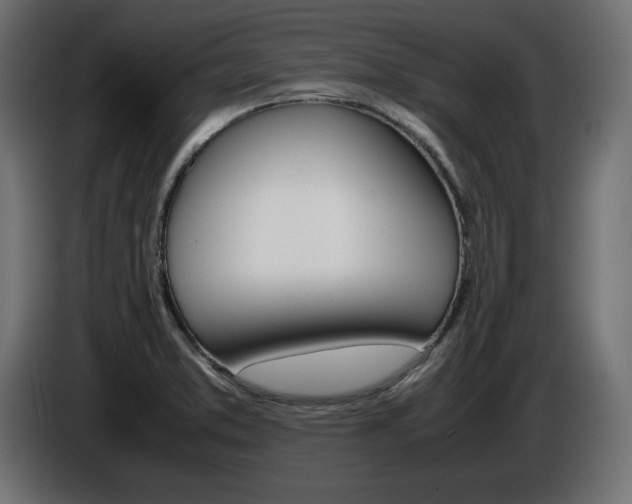 X0000086911373200704160959