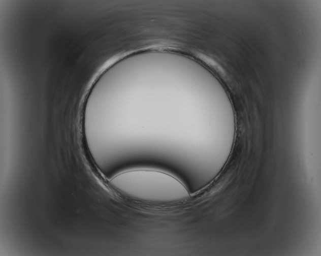 X0000086911375200704160959