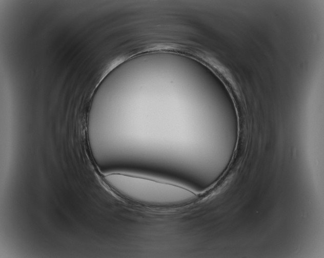 X0000086911377200704160959