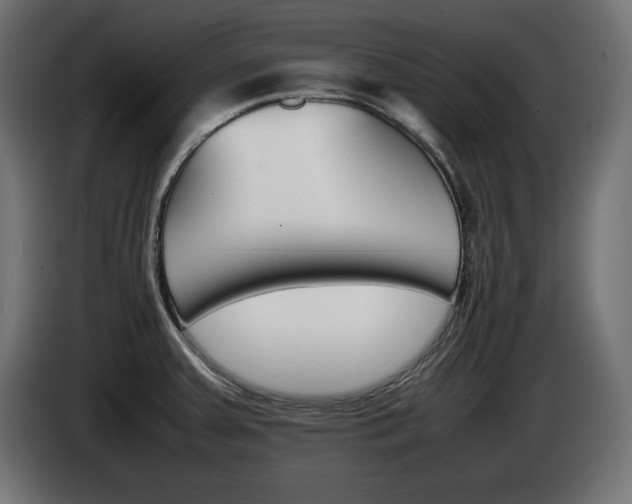 X0000086911379200704160959