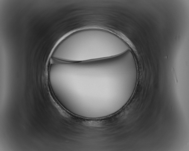 X0000086911380200704160959