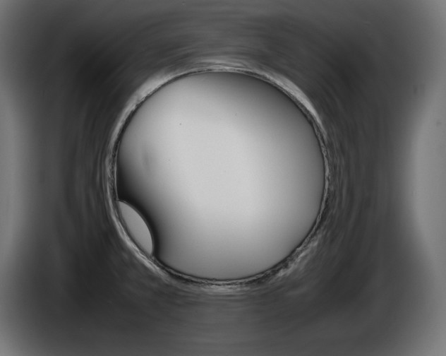 X0000086911381200704160959