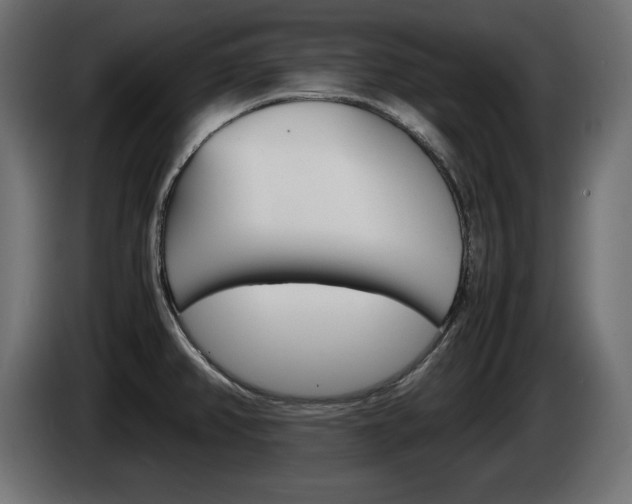 X0000086911382200704160959