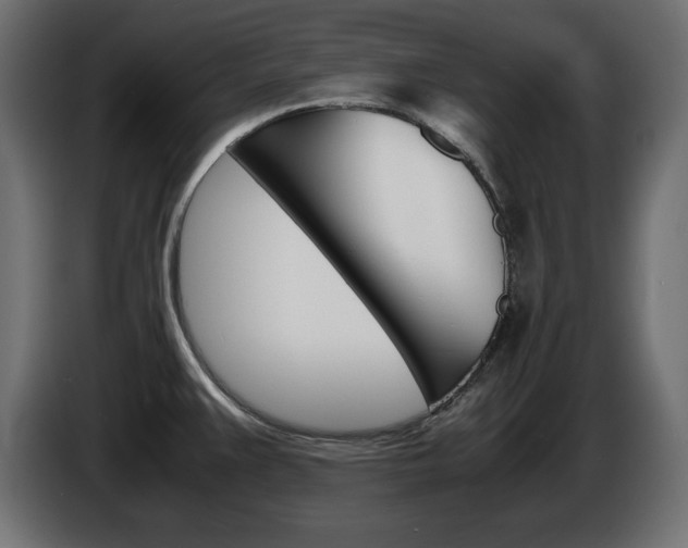 X0000086911383200704160959