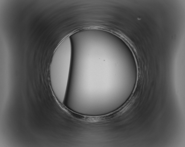 X0000086911385200704160959