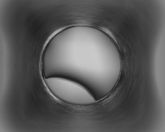 X0000086911387200704160959