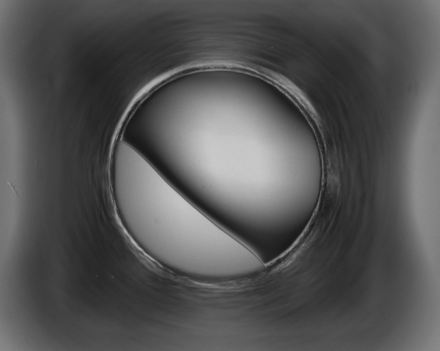 X0000086911388200704160959