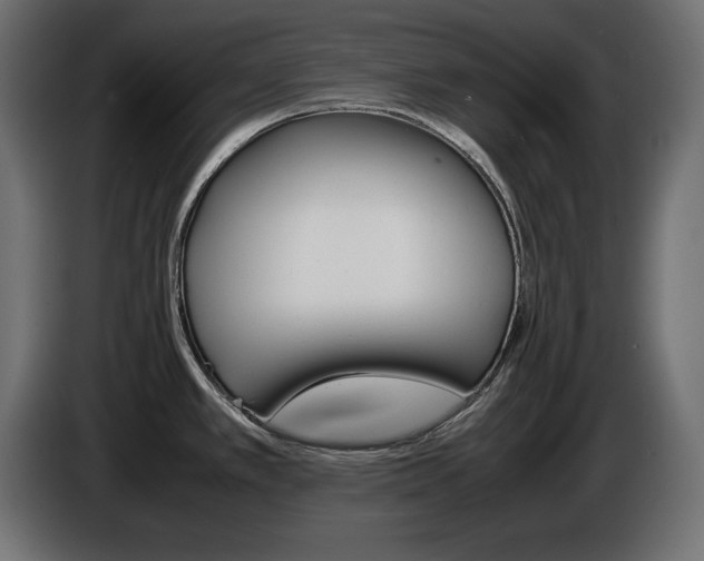 X0000086911389200704160959