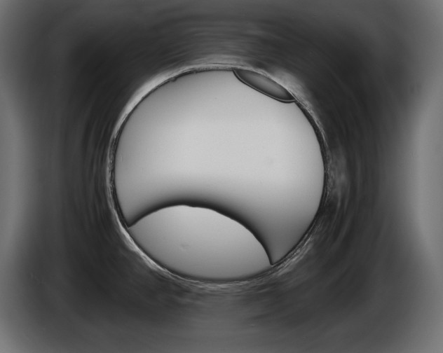 X0000086911390200704160959
