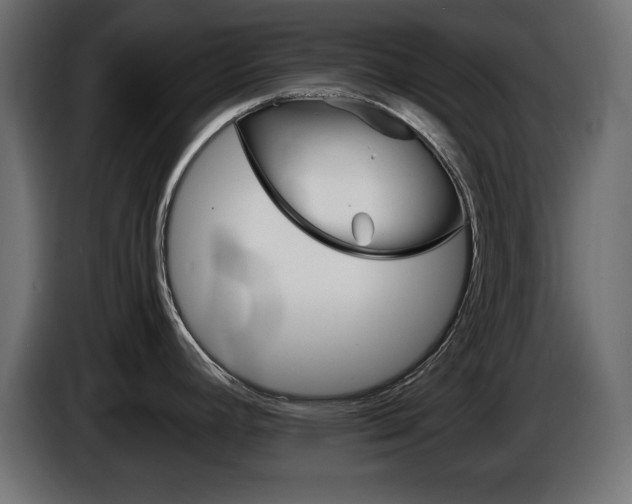 X0000086911392200704160959
