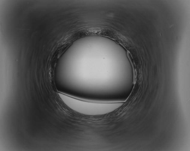 X0000086911394200704160958