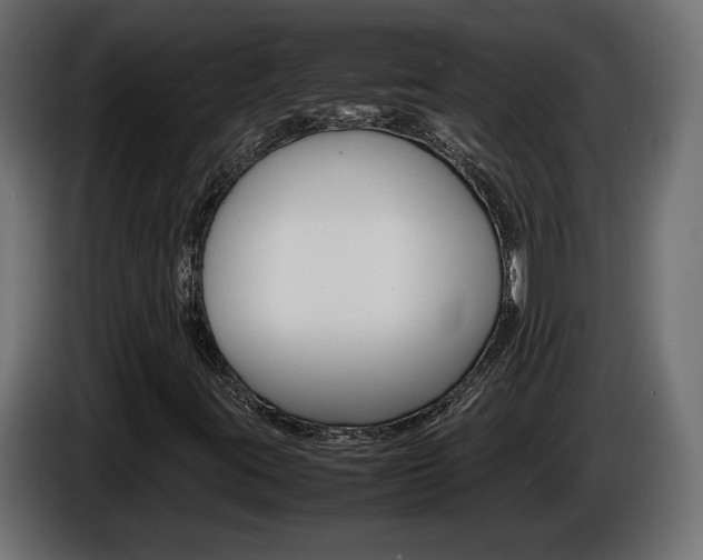 X0000086911395200704160958