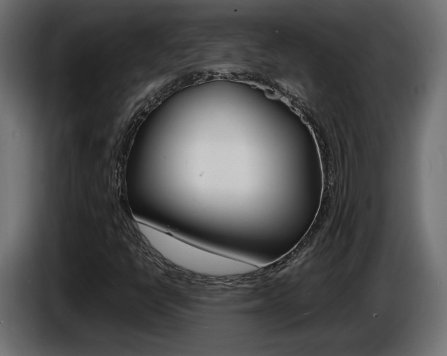 X0000086911398200704160958