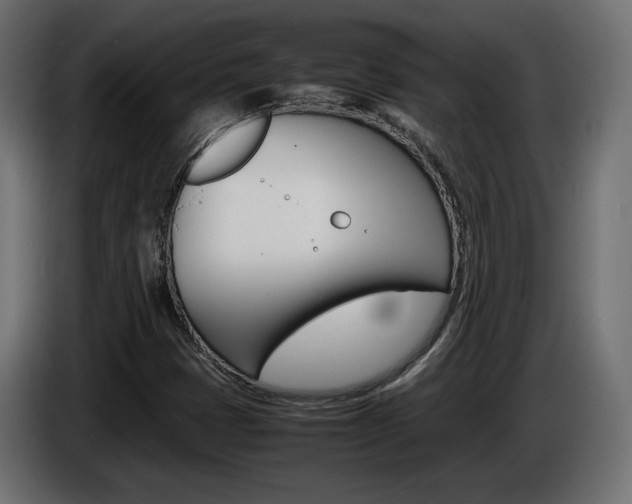 X0000086911401200704160959