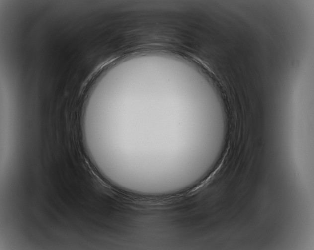 X0000086911402200704160959