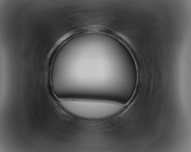 X0000086911410200704160959