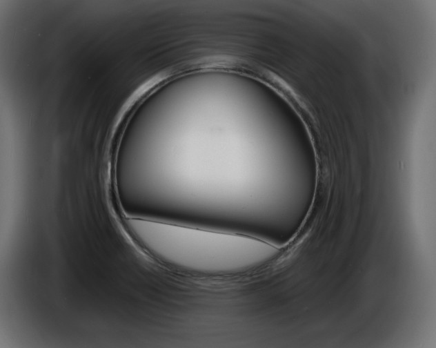 X0000086911418200704160959