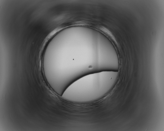X0000086911419200704160959
