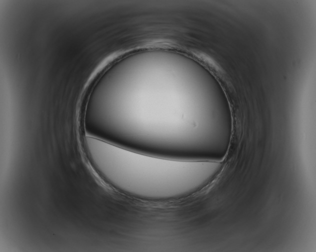 X0000086911422200704160959