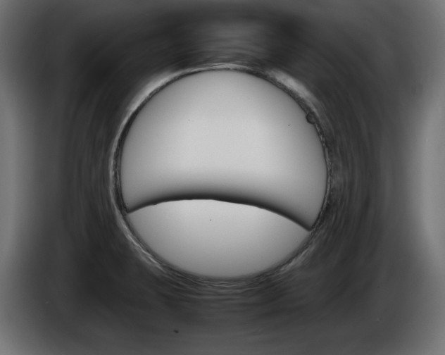 X0000086911423200704160959