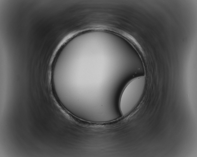 X0000086911424200704160959