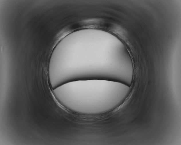 X0000086911425200704160959