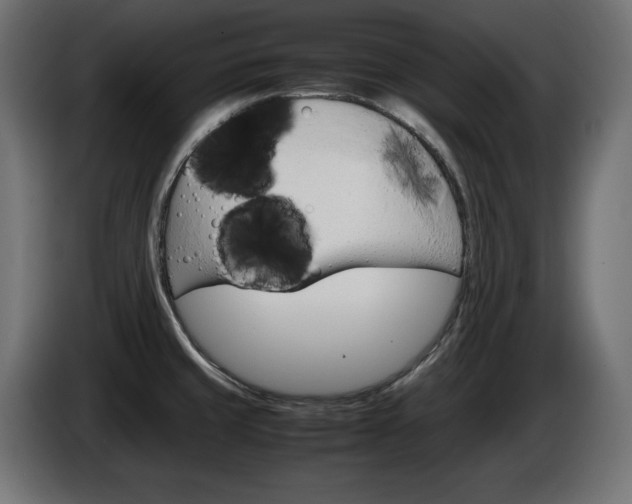 X0000086911429200704160959