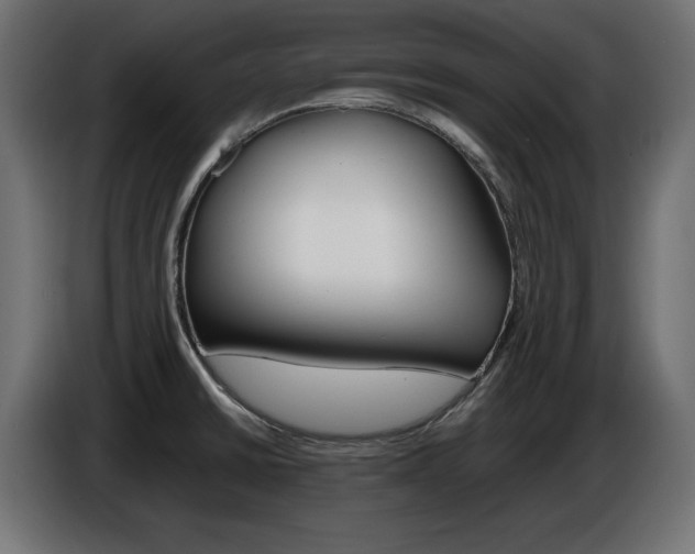 X0000086911430200704160959